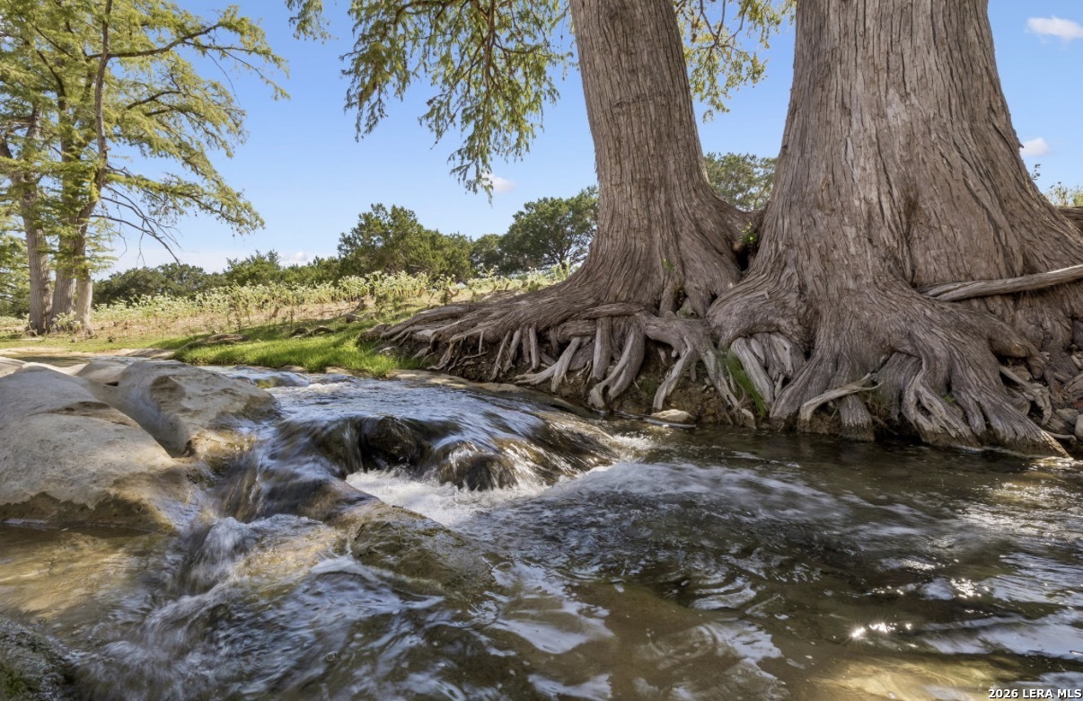 149 Bloodhound Trail Sisterdale TX 78006