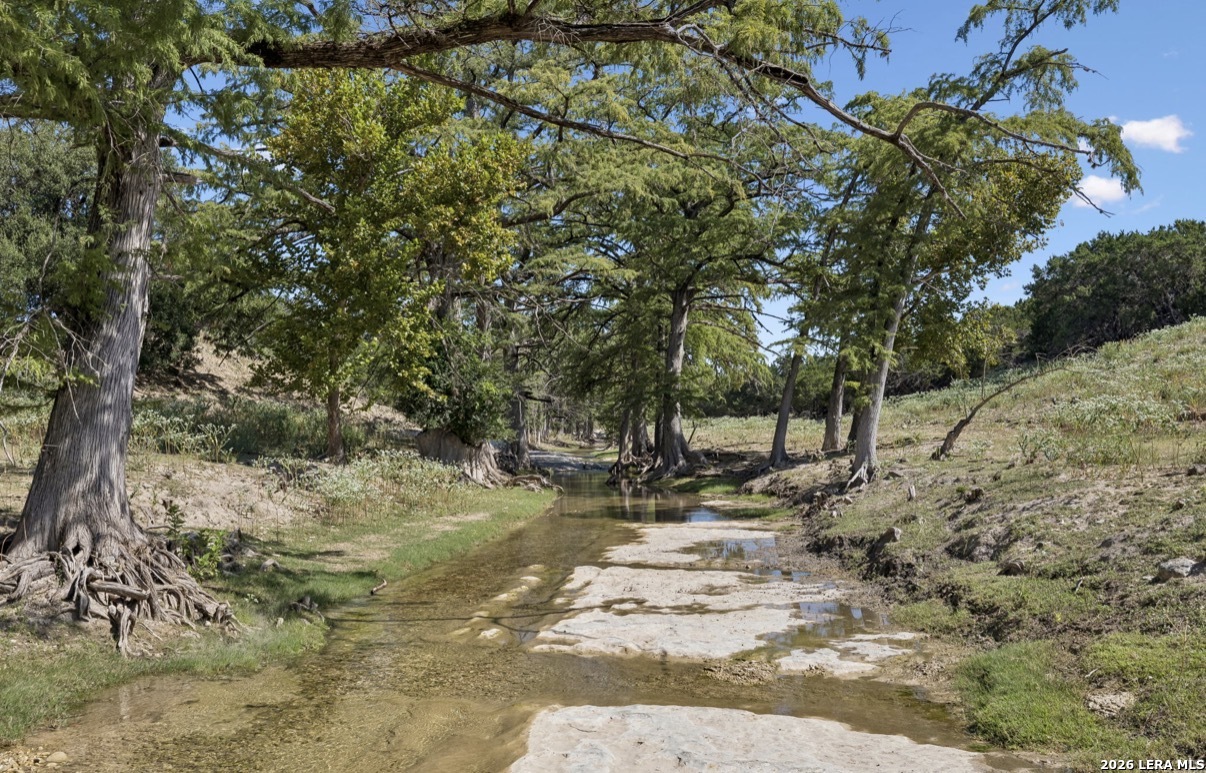 149 Bloodhound Trail Sisterdale TX 78006