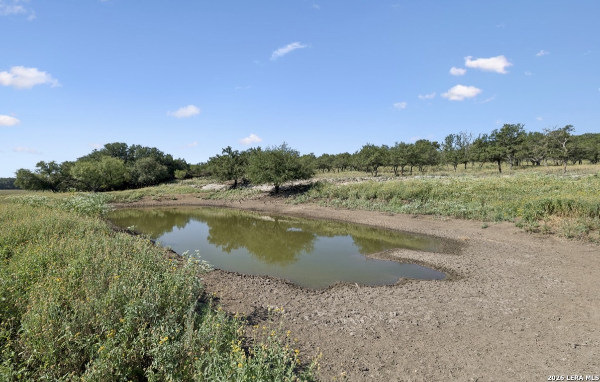 149 Bloodhound Trail Sisterdale TX 78006