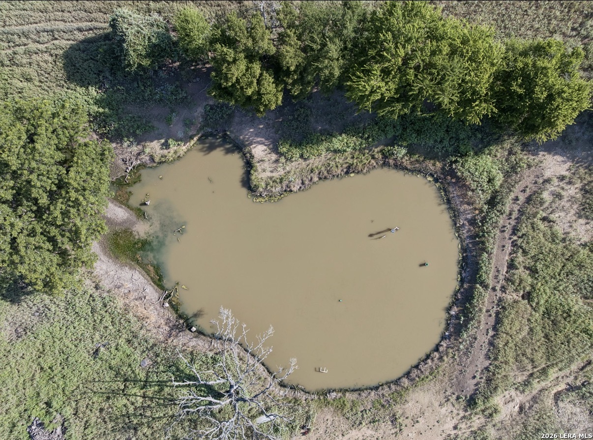 149 Bloodhound Trail Sisterdale TX 78006