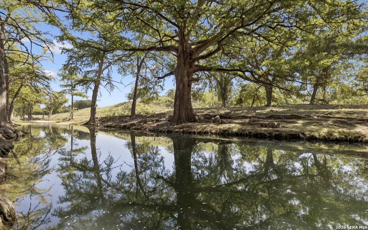 149 Bloodhound Trail Sisterdale TX 78006