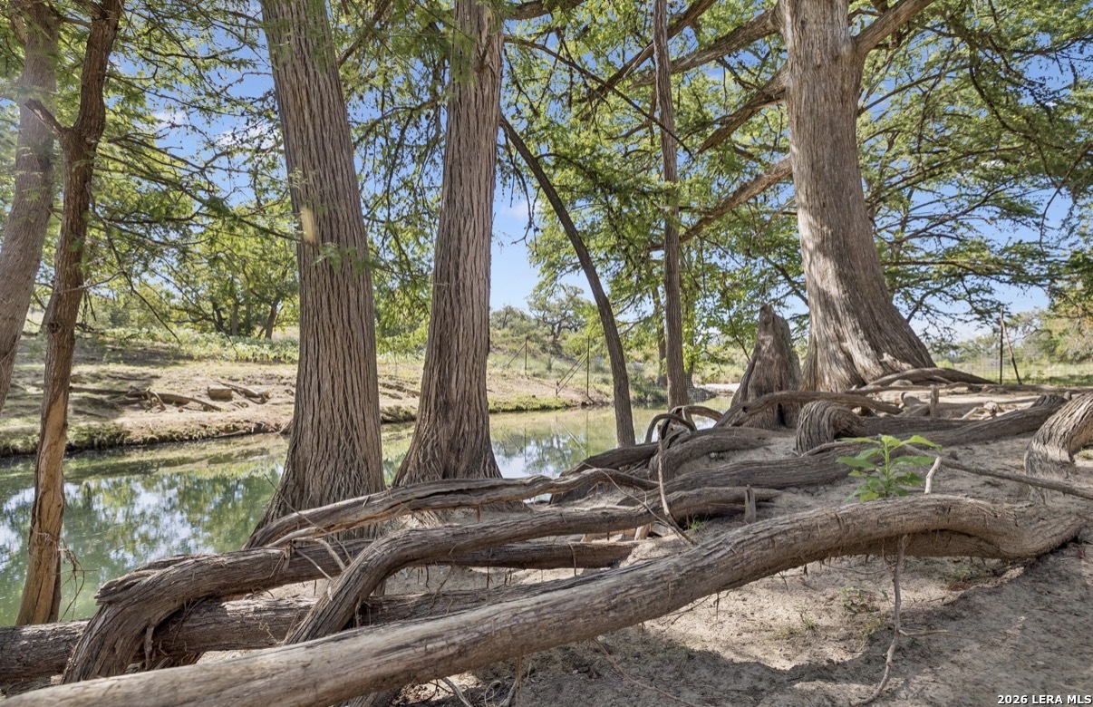 149 Bloodhound Trail Sisterdale TX 78006