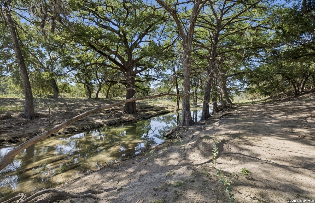 149 Bloodhound Trail Sisterdale TX 78006