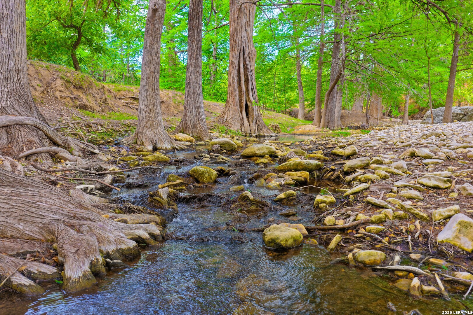149 Bloodhound Trail Sisterdale TX 78006