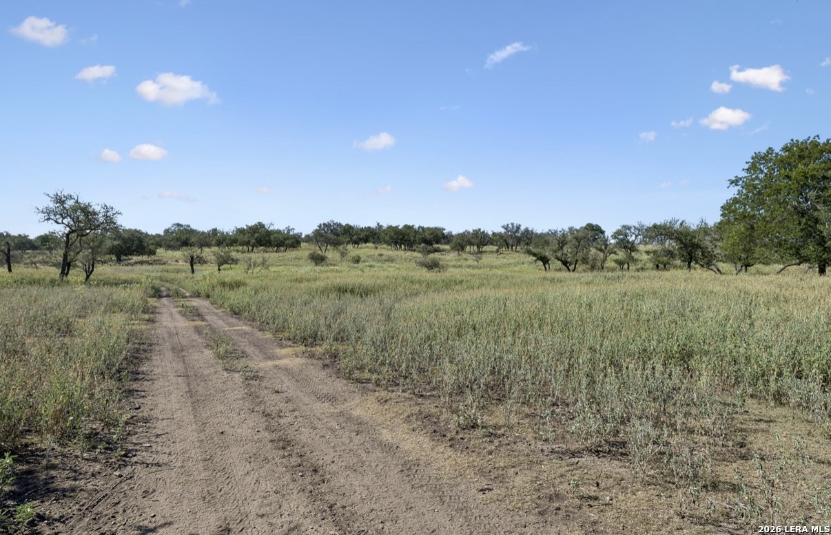 149 Bloodhound Trail Sisterdale TX 78006
