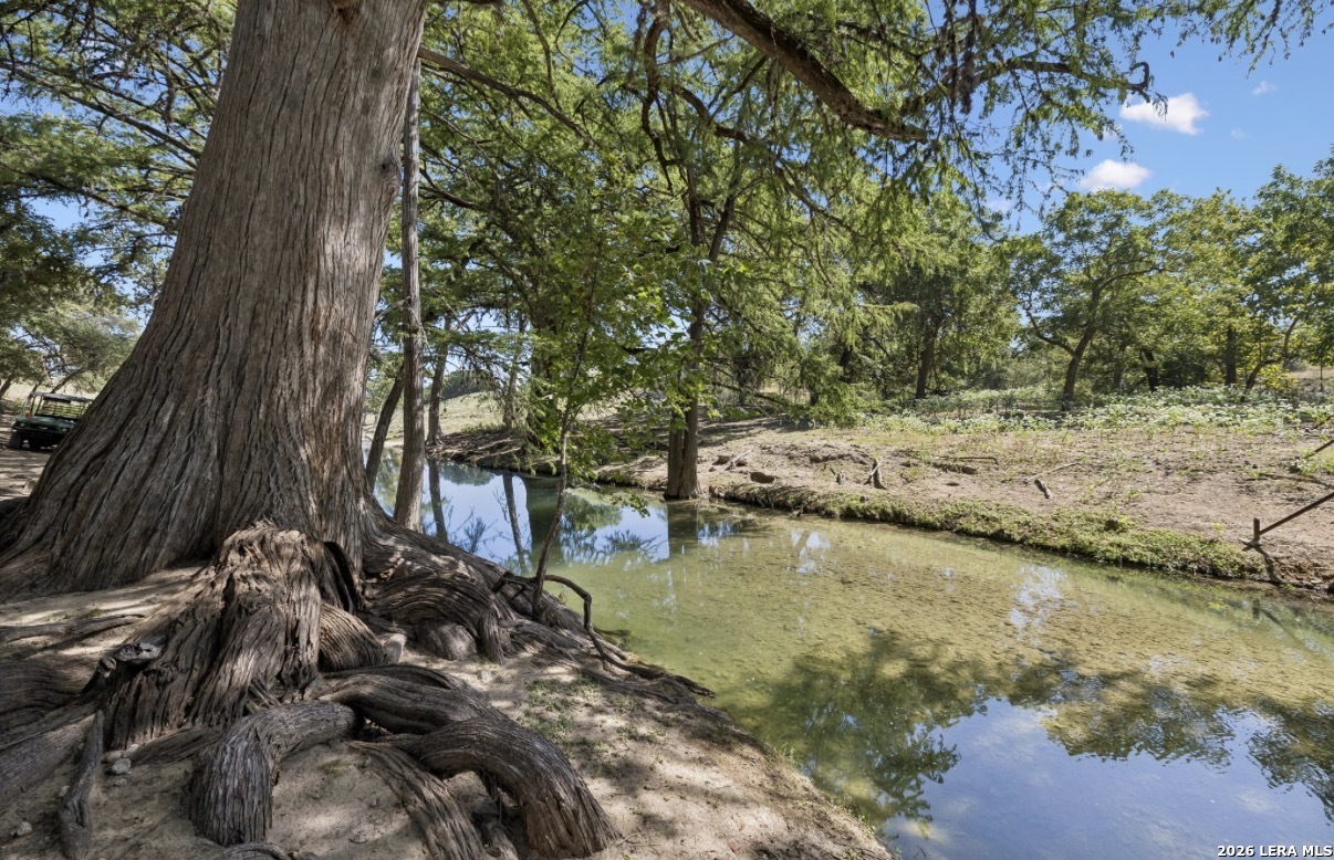 149 Bloodhound Trail Sisterdale TX 78006