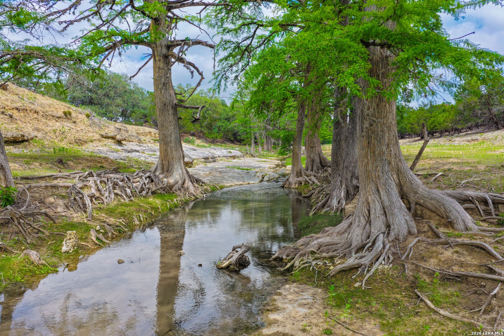 149 Bloodhound Trail Sisterdale TX 78006