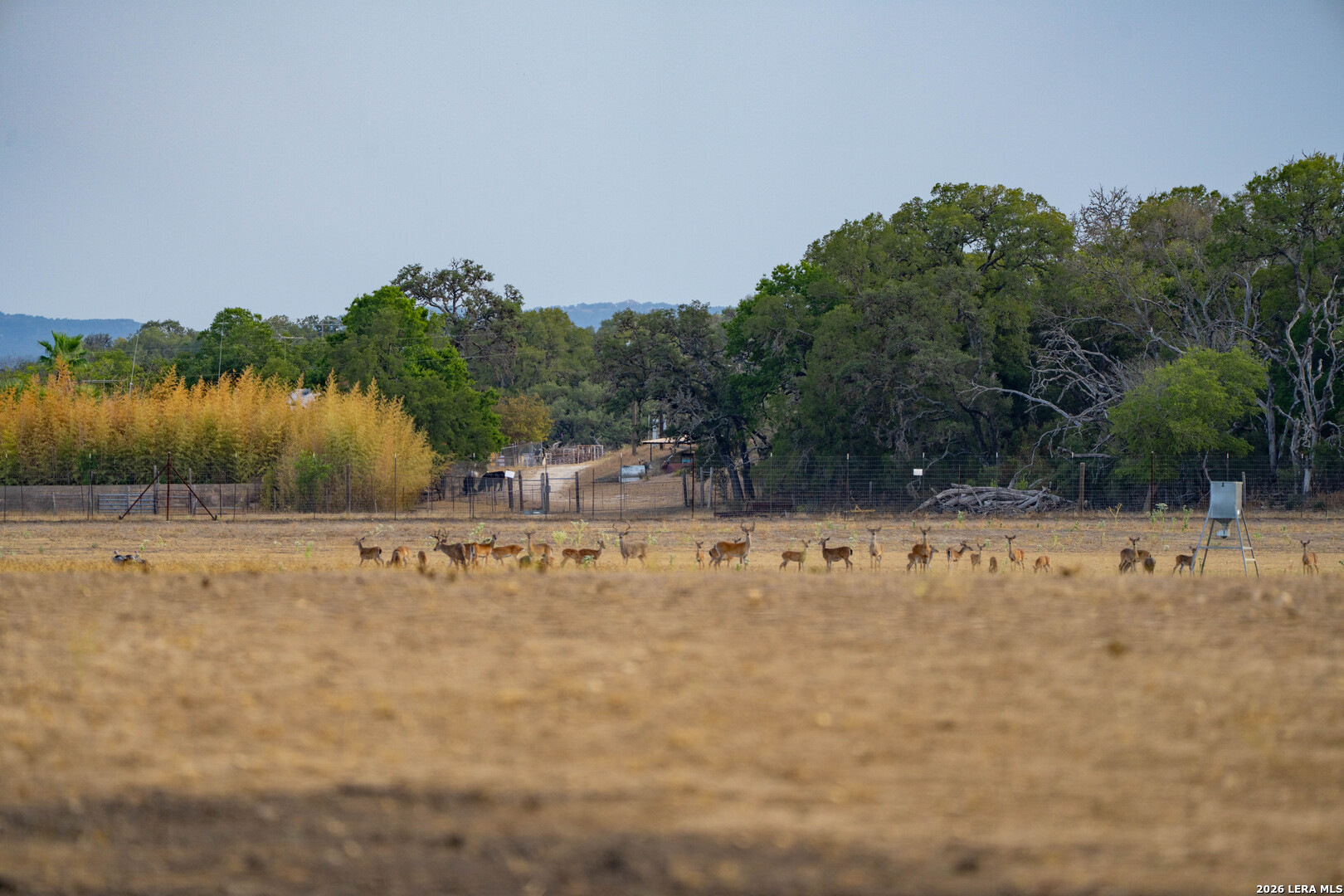 149 Bloodhound Trail Sisterdale TX 78006