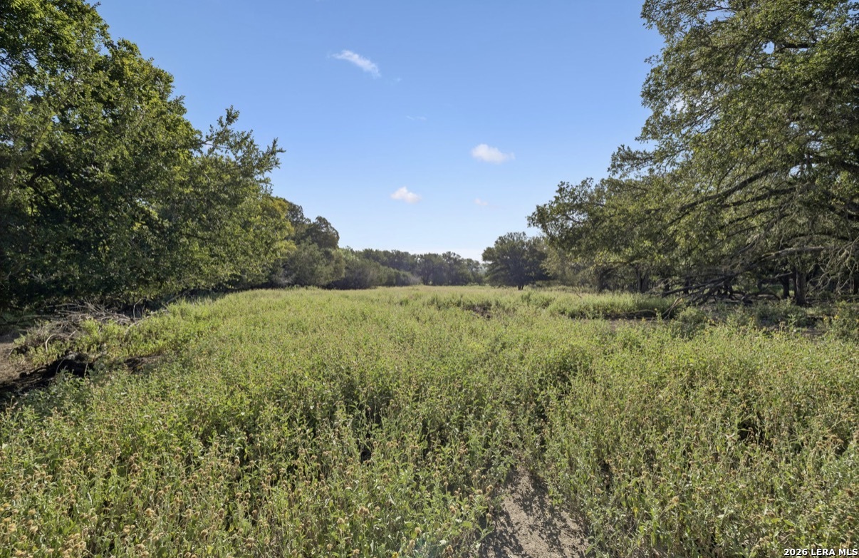 149 Bloodhound Trail Sisterdale TX 78006