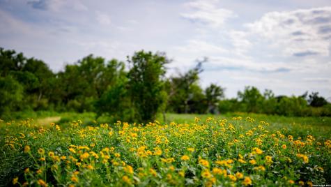 250 County Road 241 Hondo TX 78861