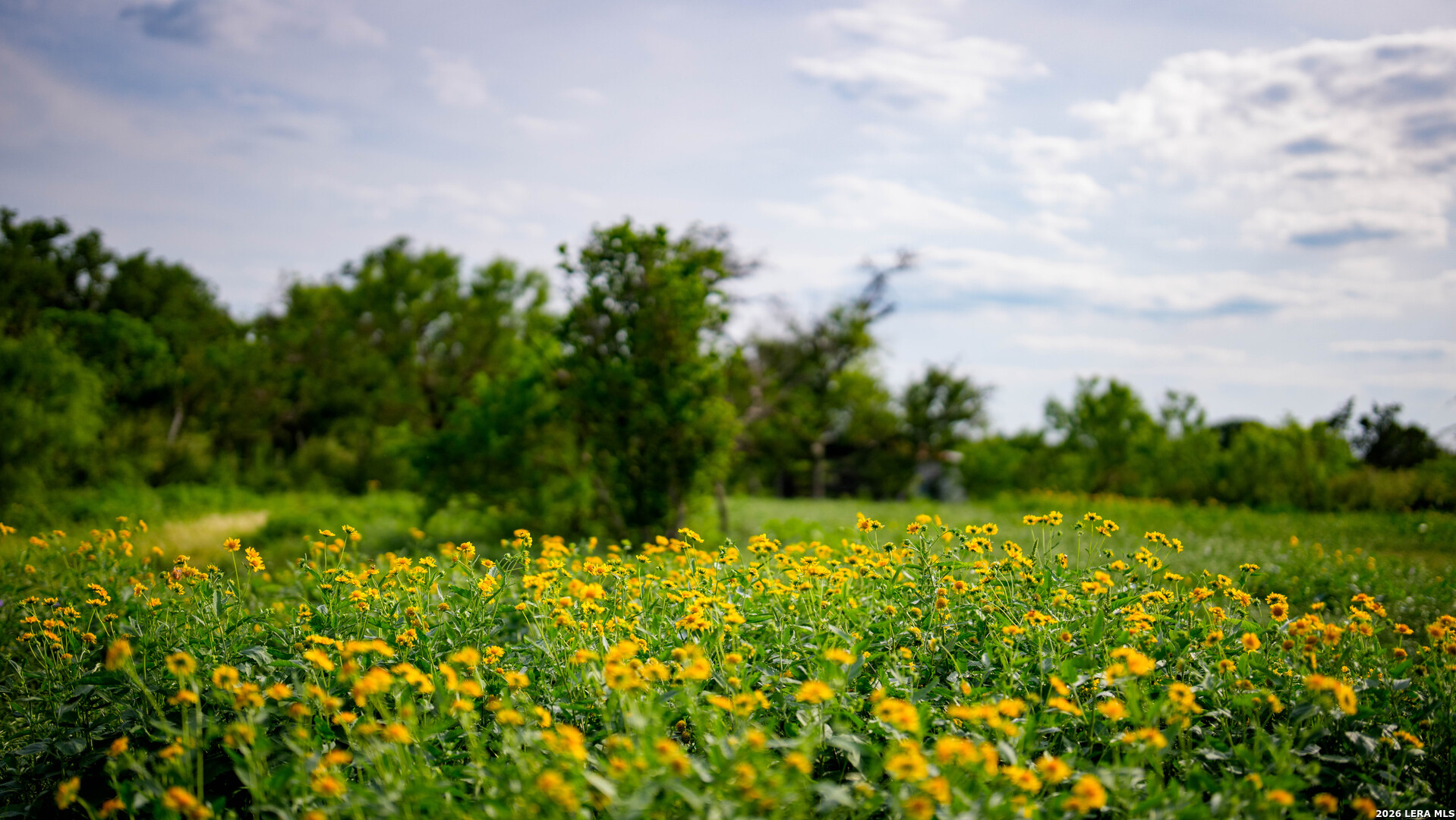 250 County Road 241 Hondo TX 78861
