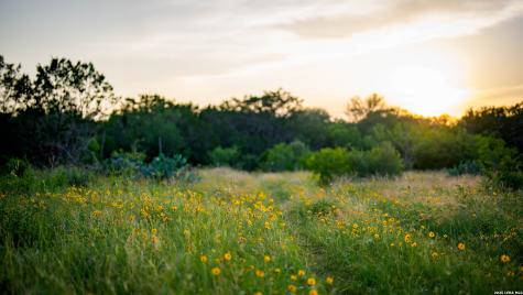 250 County Road 241 Hondo TX 78861