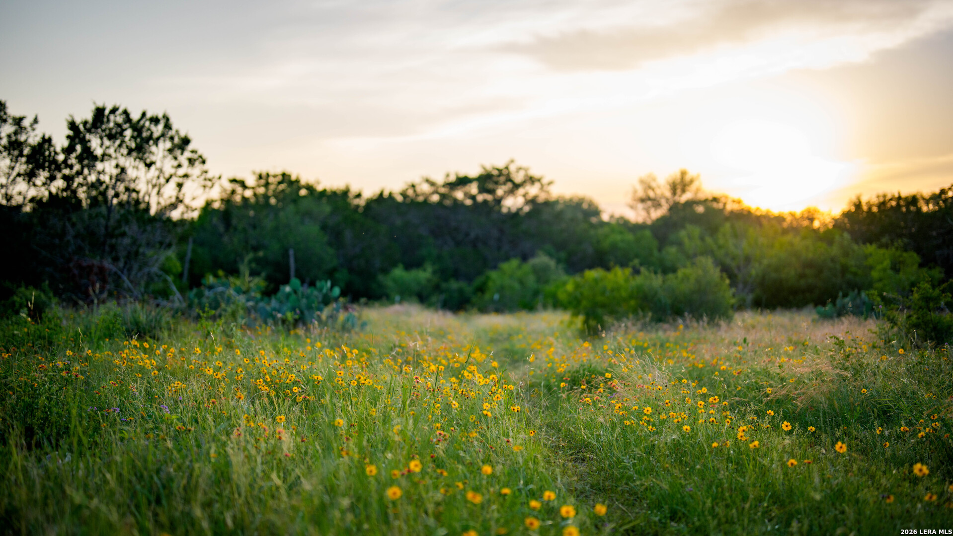 250 County Road 241 Hondo TX 78861