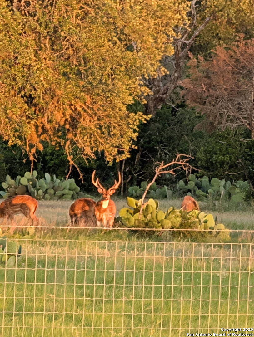 121A Bartel Comfort TX 78013