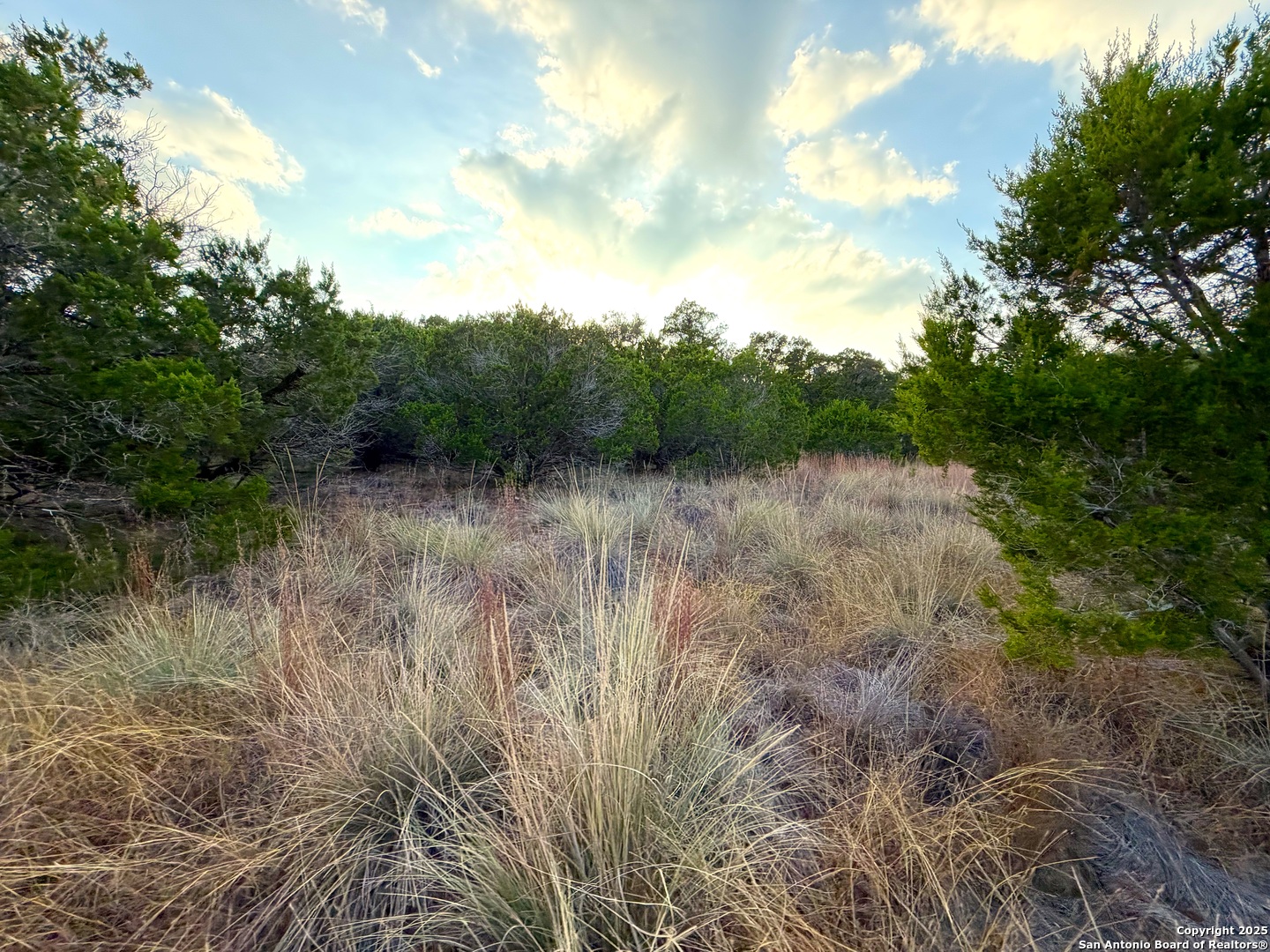 100 Acres N Cranes Mill Road Canyon Lake TX 78133