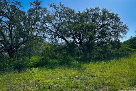 000 Fm 1303 Floresville TX 78114