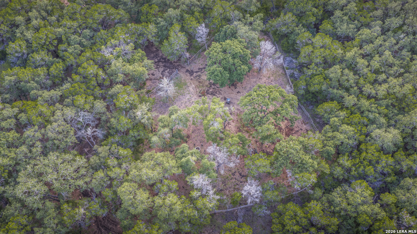 5261 W Ammann Road Bulverde TX 78163