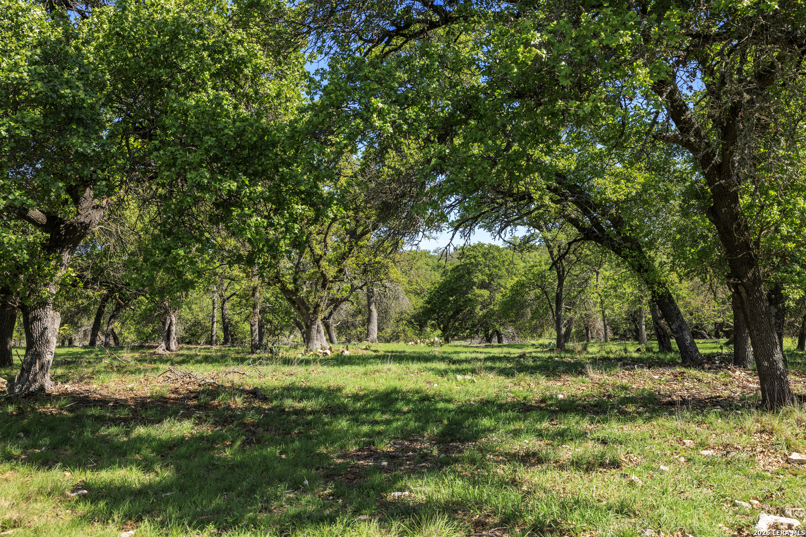 283 Dally Road Fredericksburg TX 78624