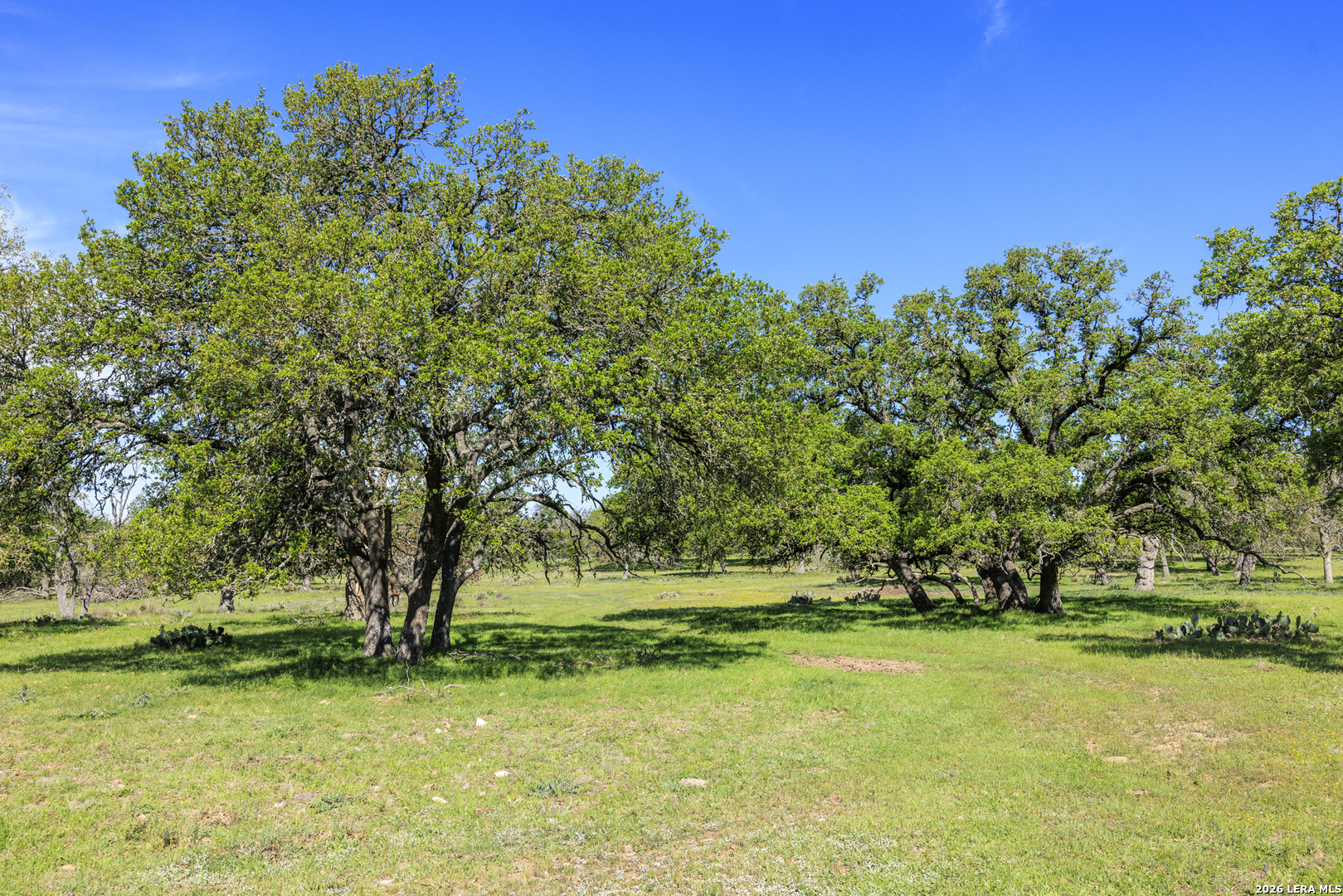 283 Dally Road Fredericksburg TX 78624