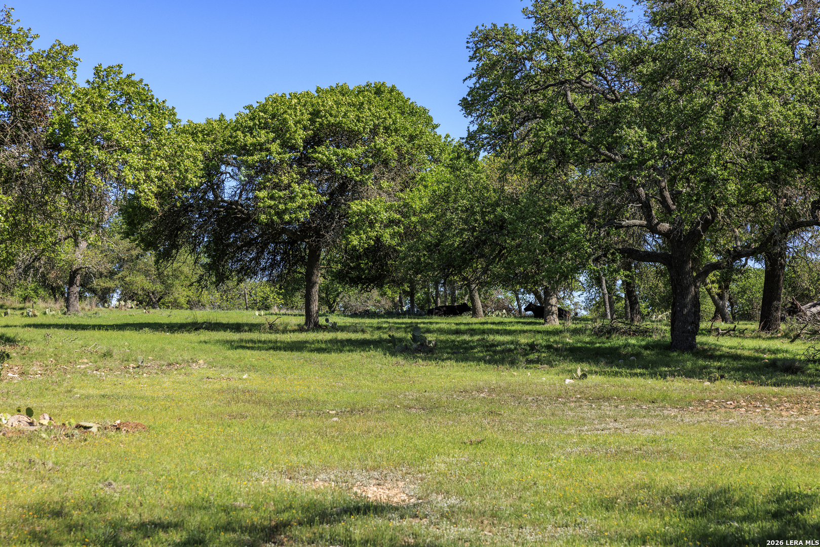 283 Dally Road Fredericksburg TX 78624