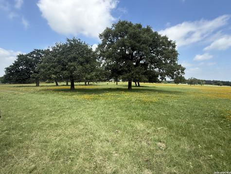 14 County Road 273 Bremond TX 76629