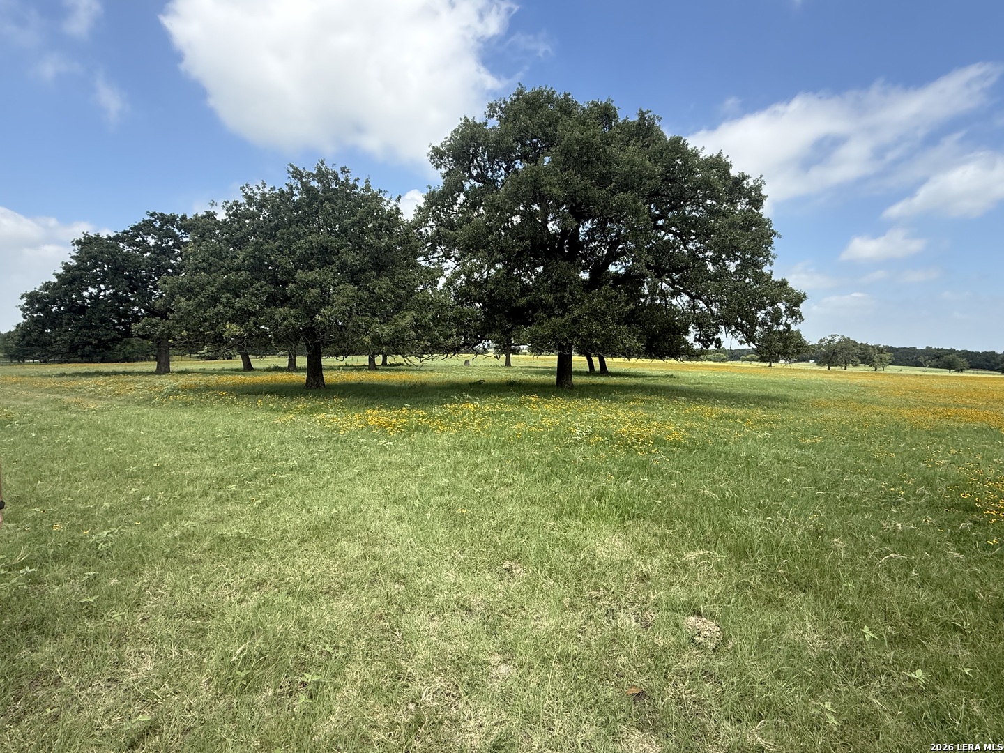 14 County Road 273 Bremond TX 76629