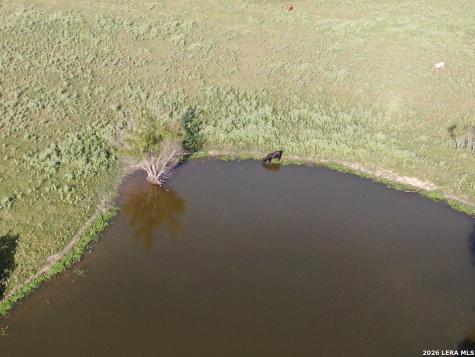 14 County Road 273 Bremond TX 76629