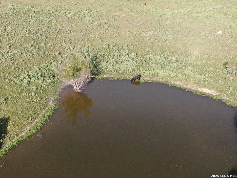 14 County Road 273 Bremond TX 76629