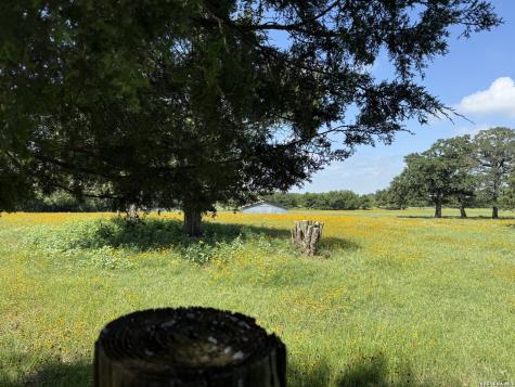 14 County Road 273 Bremond TX 76629