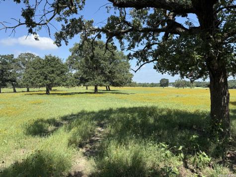 14 County Road 273 Bremond TX 76629