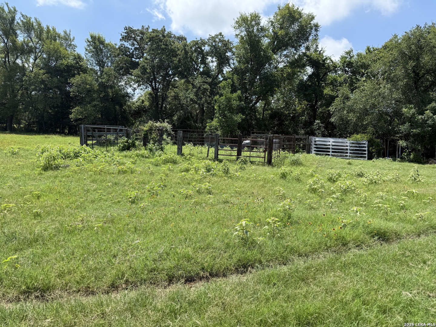 14 County Road 273 Bremond TX 76629