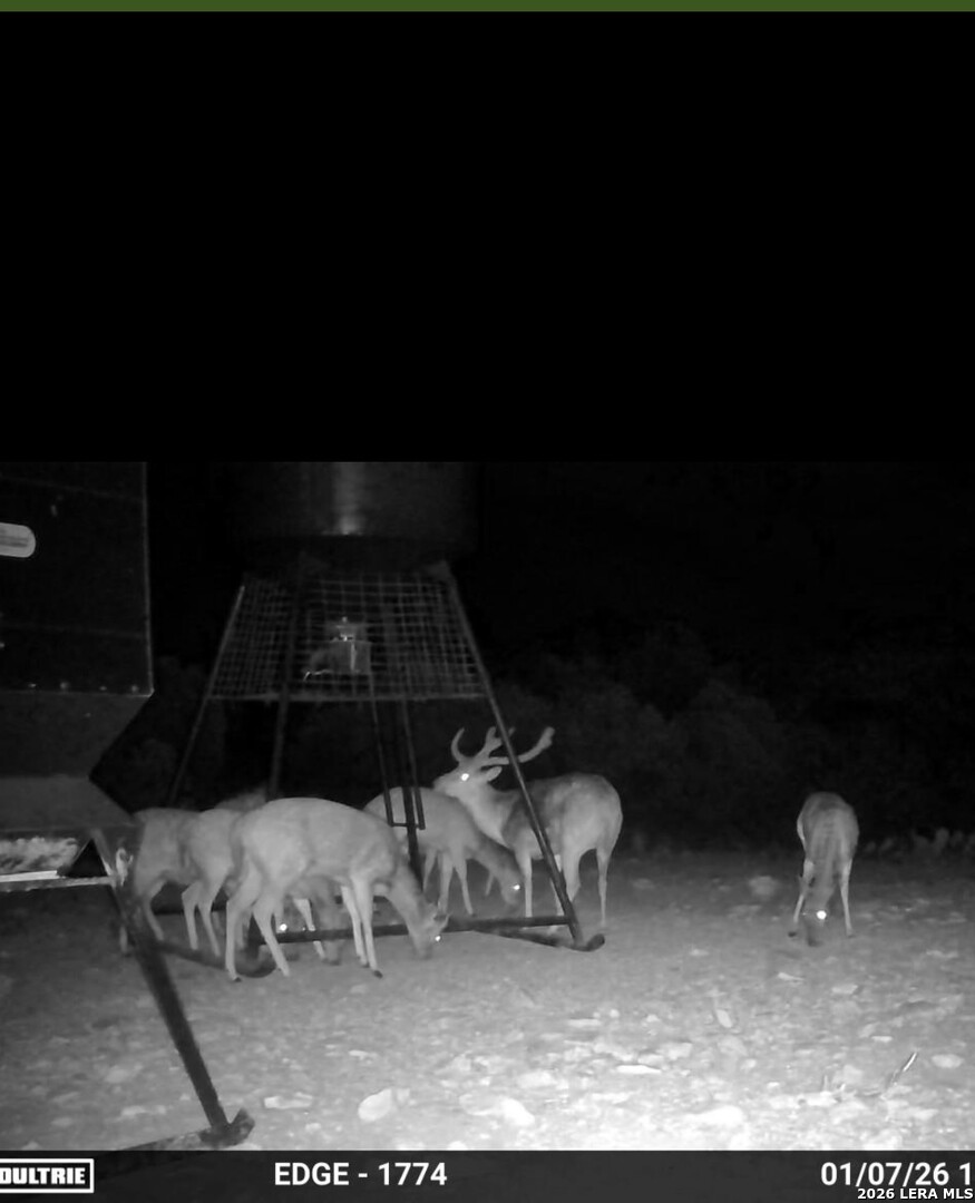 896 Sd 45730 Rocksprings TX 78880