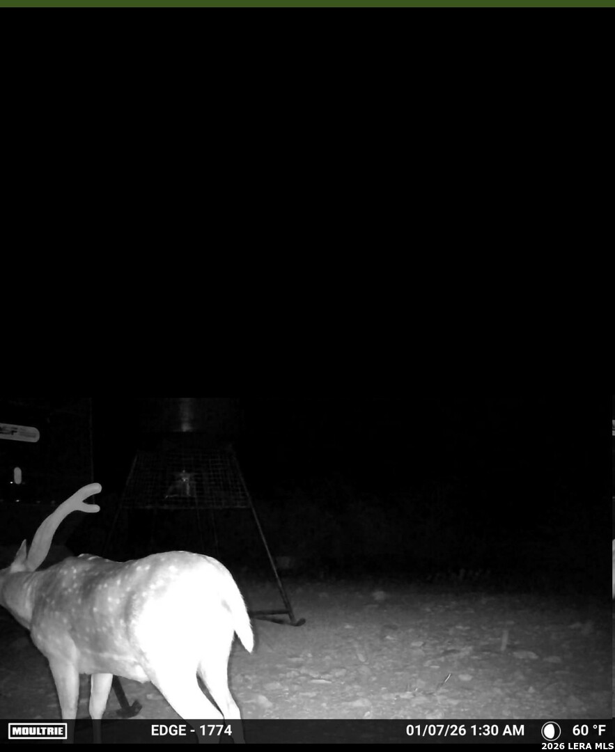 896 Sd 45730 Rocksprings TX 78880