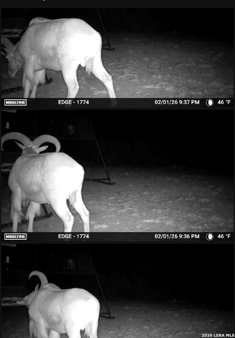 896 Sd 45730 Rocksprings TX 78880