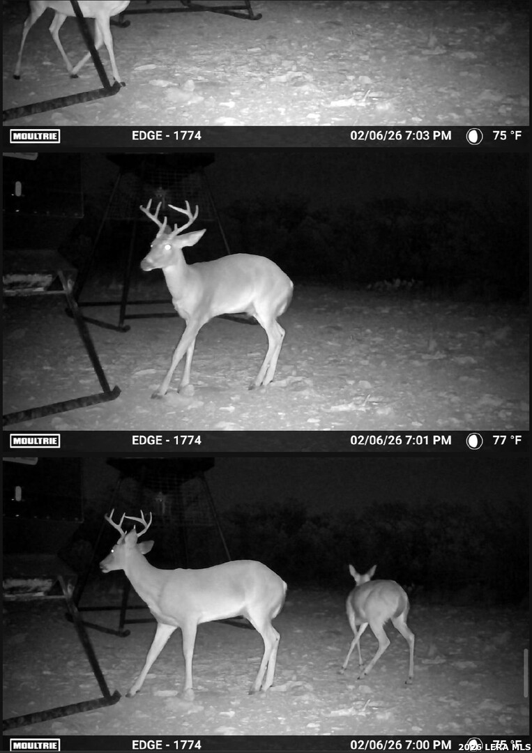 896 Sd 45730 Rocksprings TX 78880