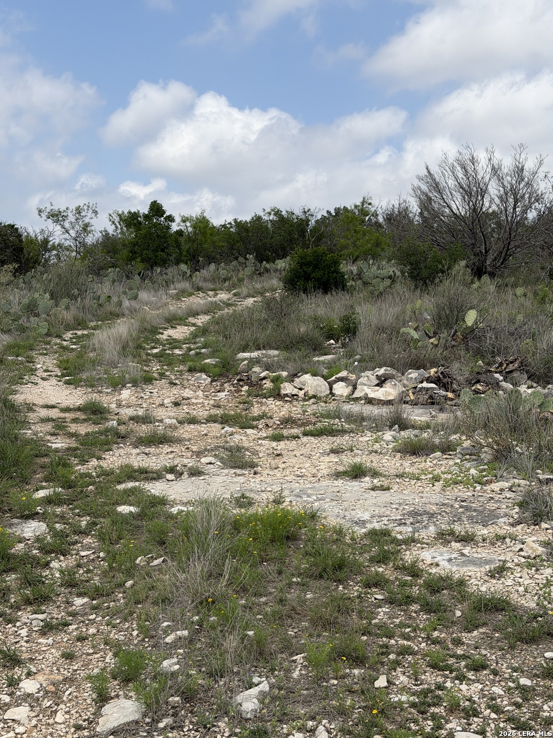 896 Sd 45730 Rocksprings TX 78880