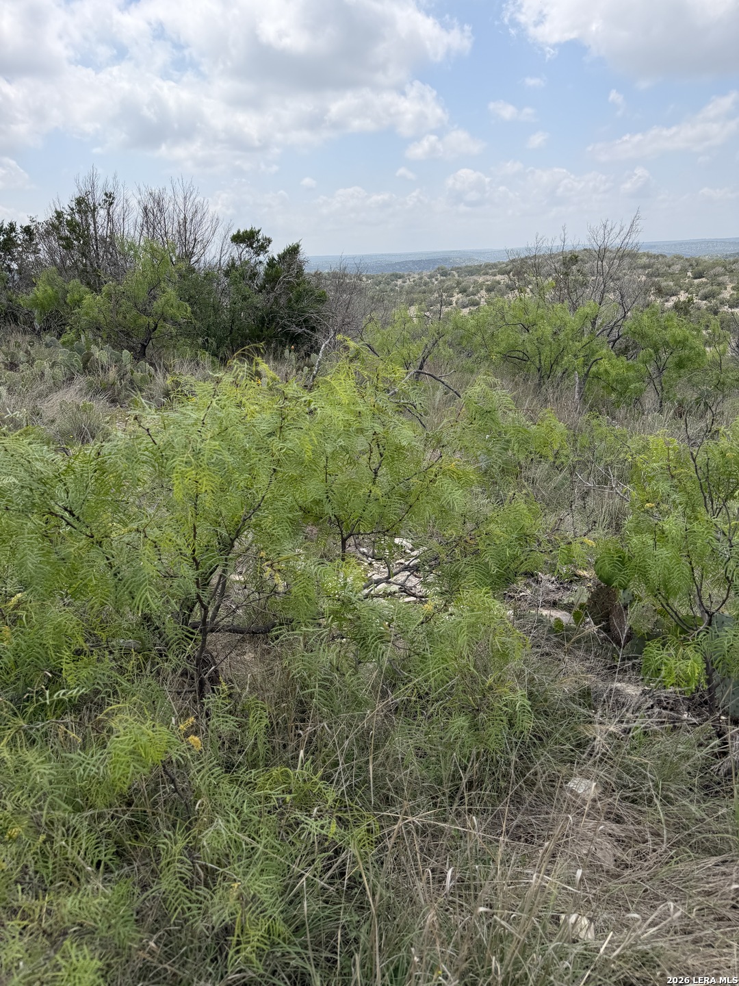 896 Sd 45730 Rocksprings TX 78880
