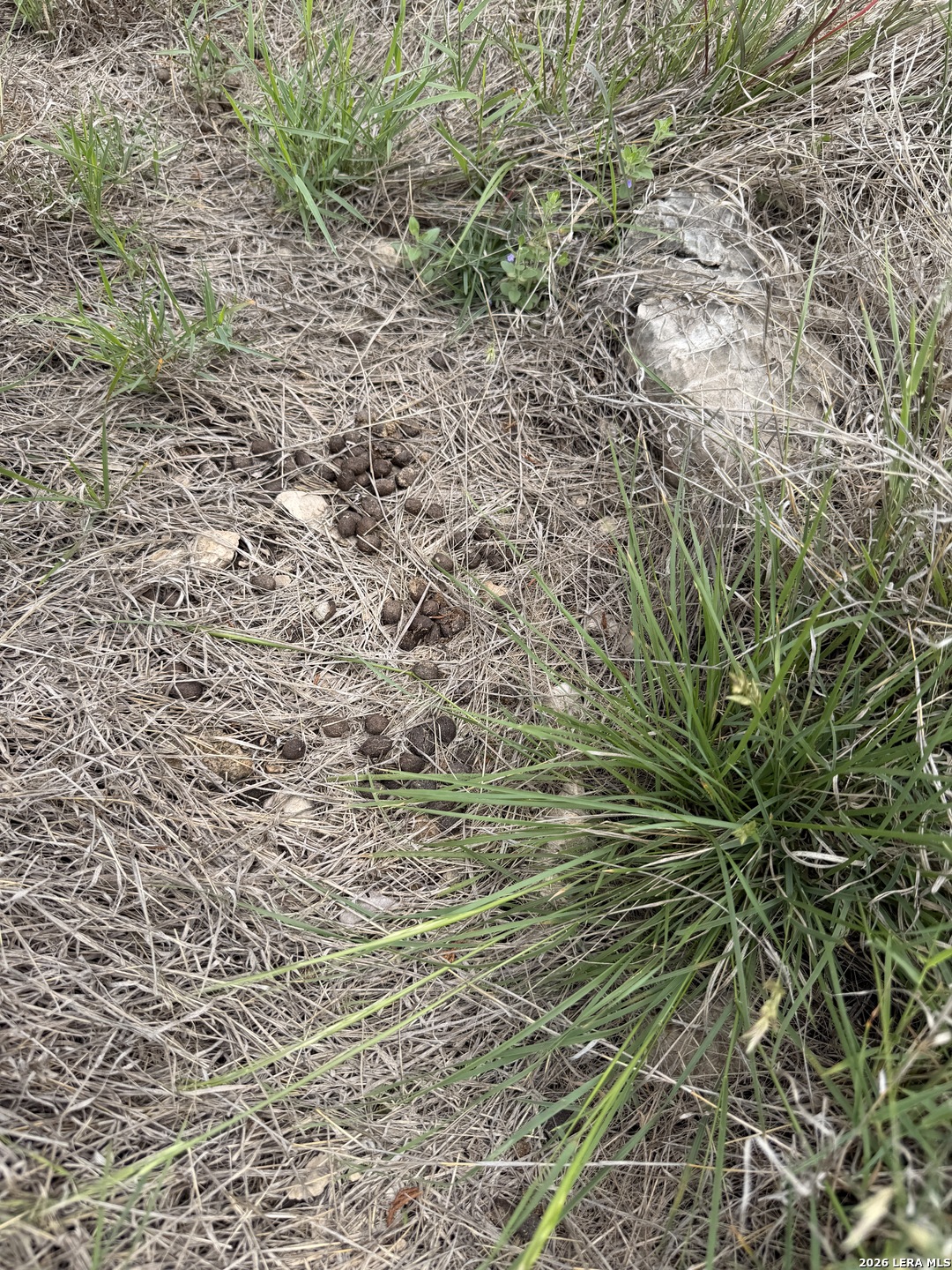 896 Sd 45730 Rocksprings TX 78880