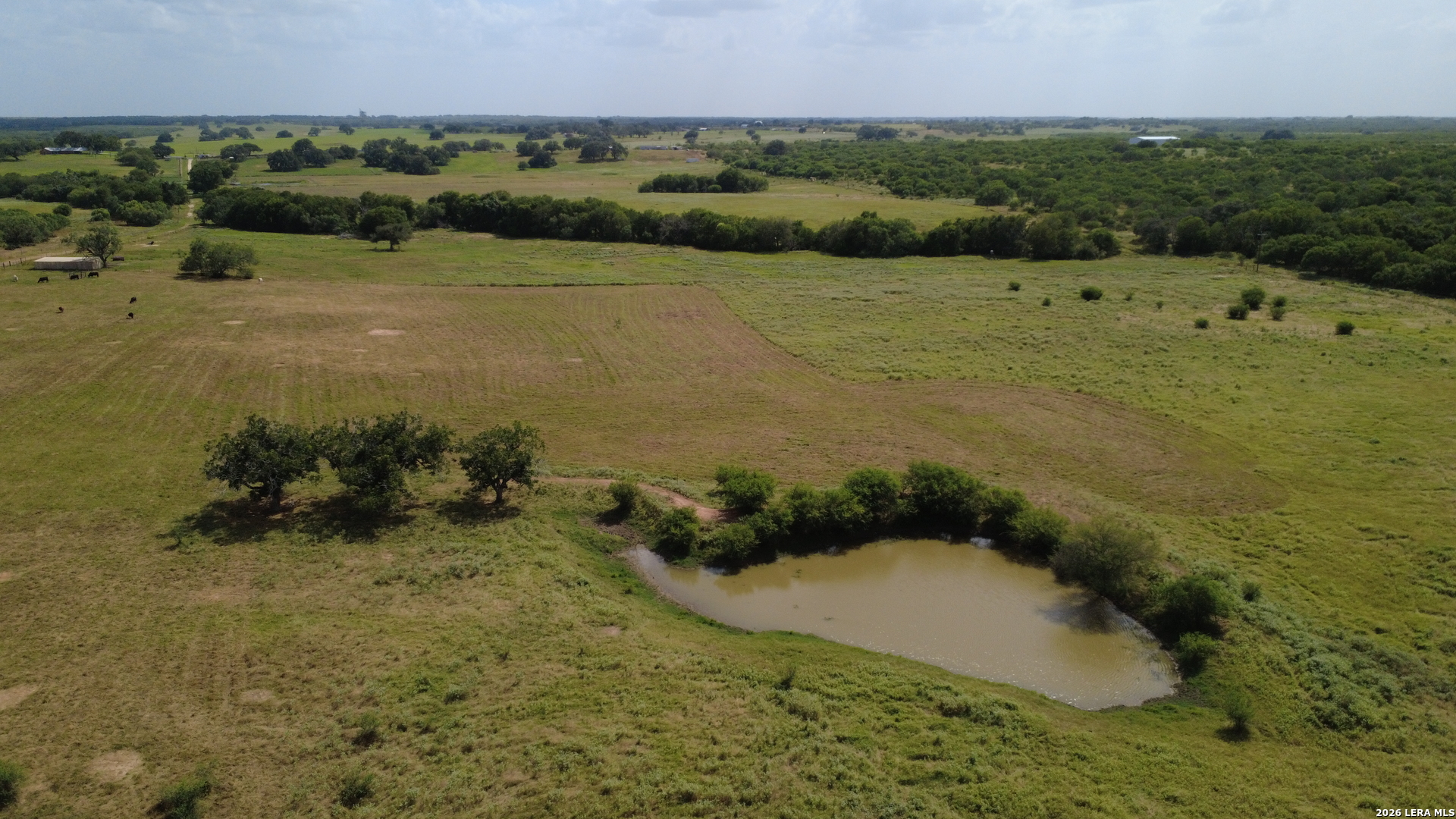 3558 Fm 536 Floresville TX 78114