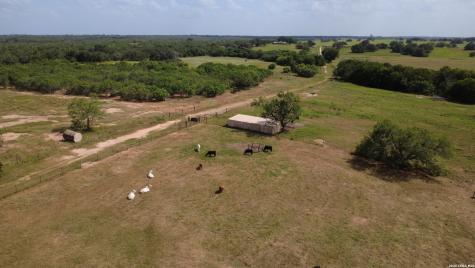 3558 Fm 536 Floresville TX 78114