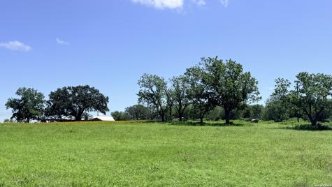 3558 Fm 536 Floresville TX 78114