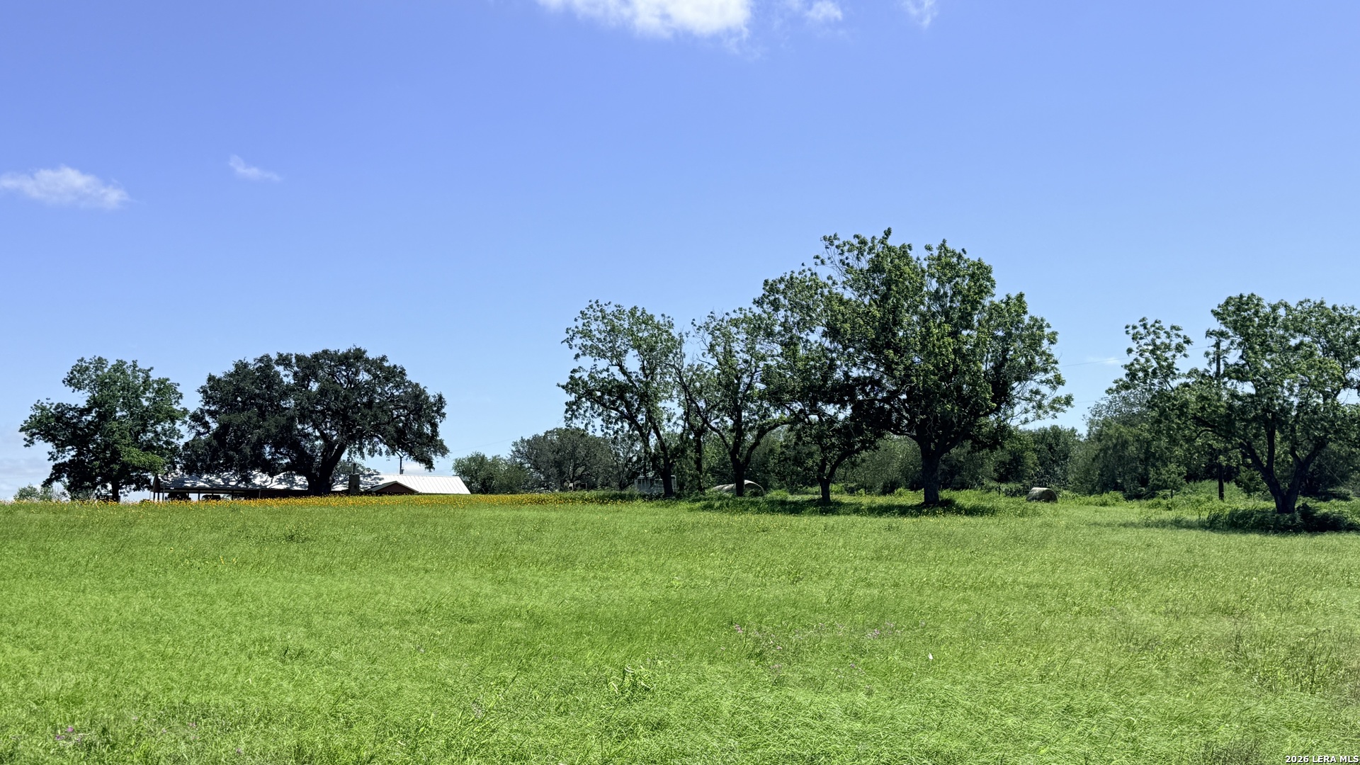 3558 Fm 536 Floresville TX 78114