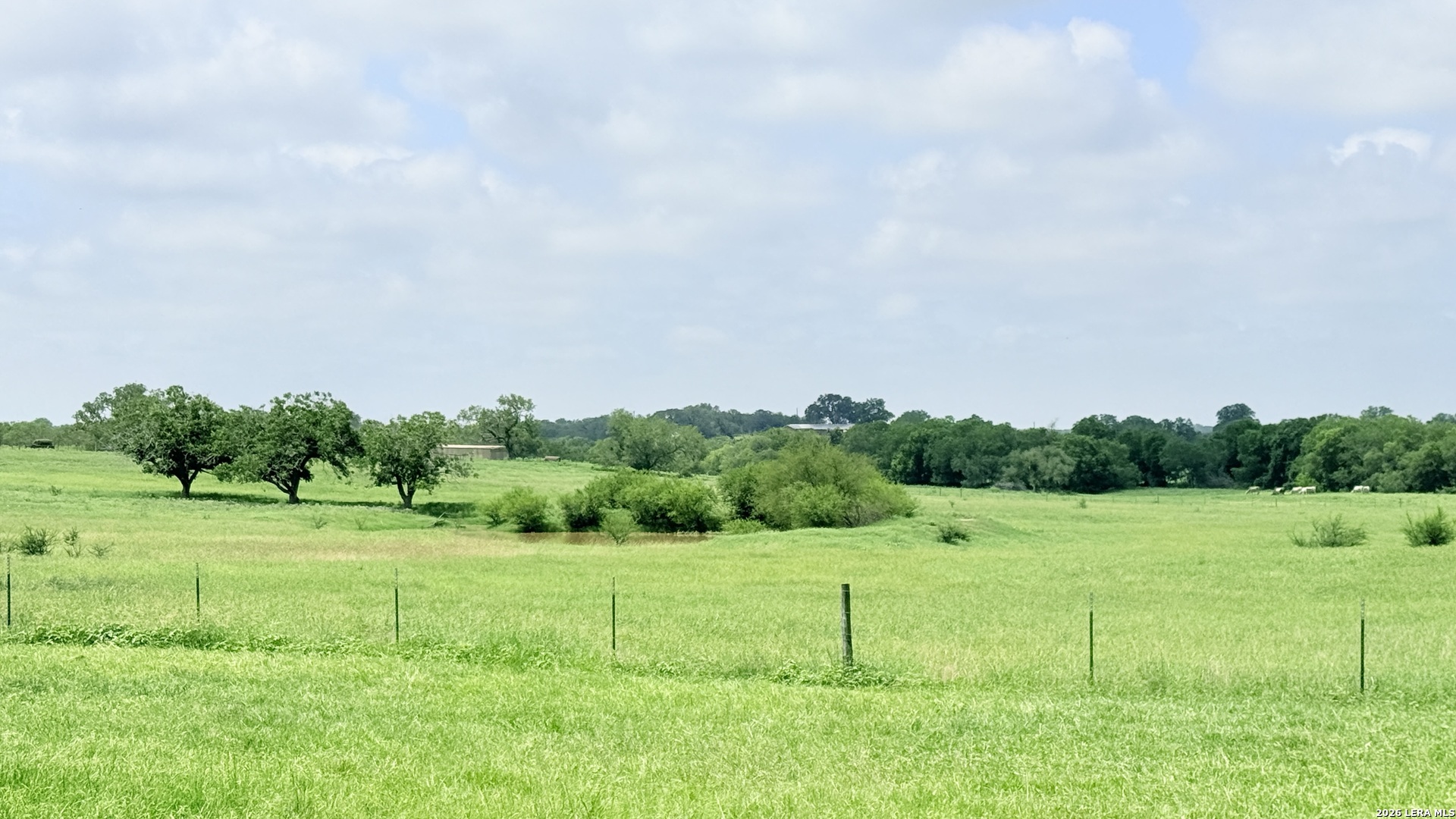 3558 Fm 536 Floresville TX 78114