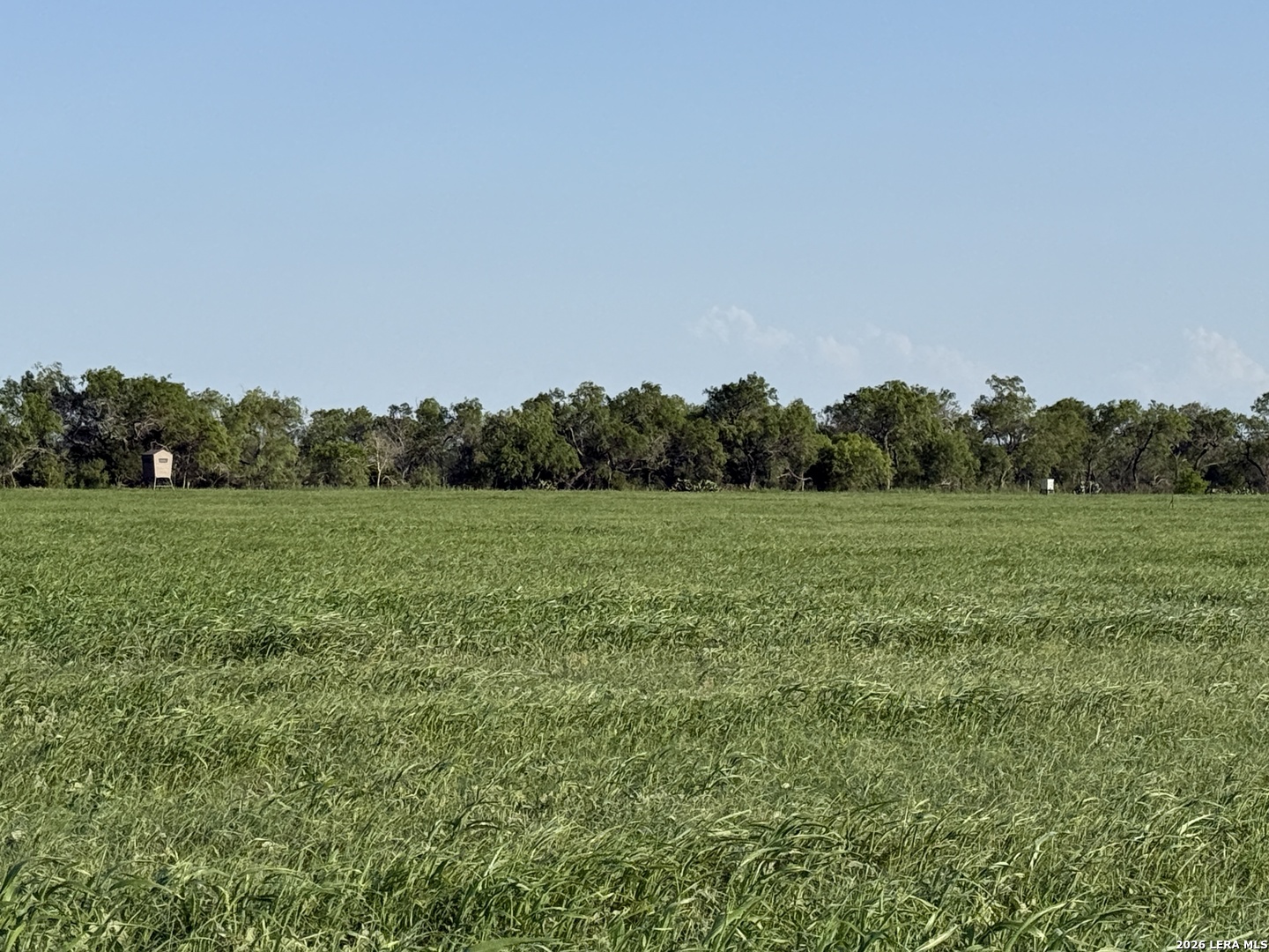 3558 Fm 536 Floresville TX 78114