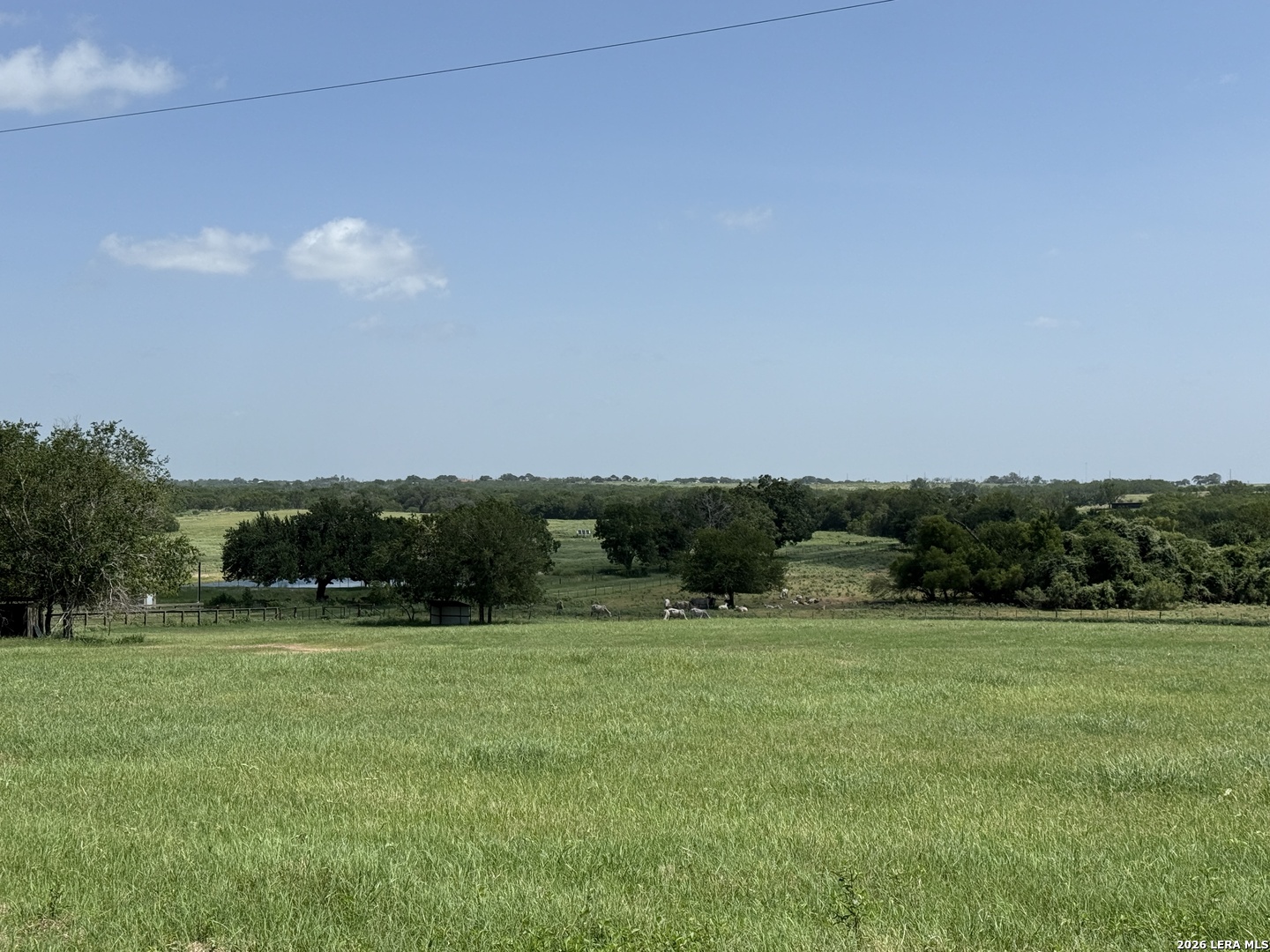 3558 Fm 536 Floresville TX 78114