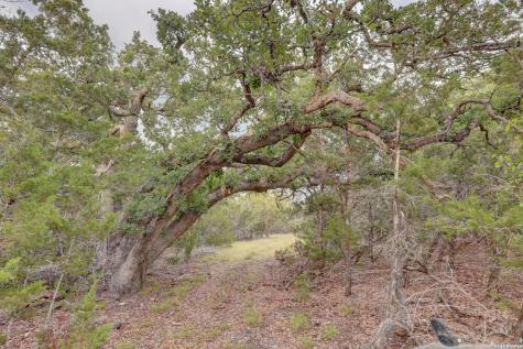 438 Yellowstone Lane Hunt TX 78024