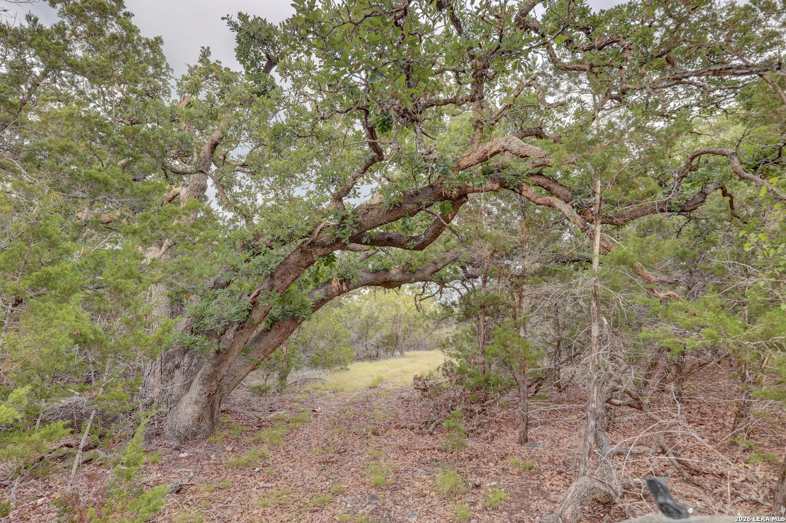 438 Yellowstone Lane Hunt TX 78024