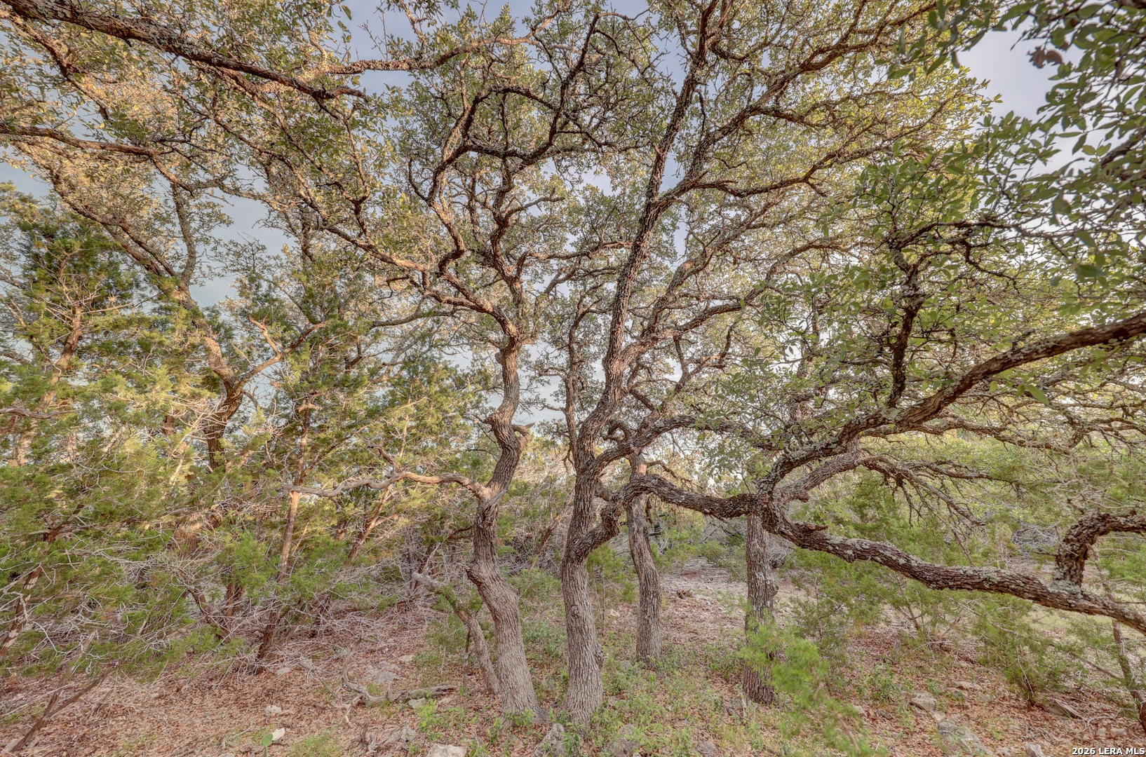 438 Yellowstone Lane Hunt TX 78024
