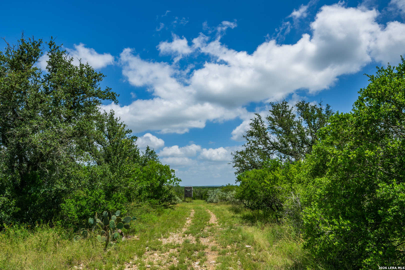 000 Miller Road Uvalde TX 78801