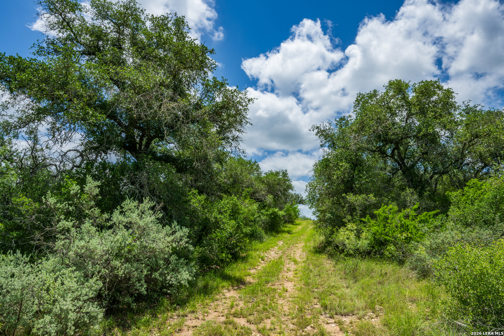 000 Miller Road Uvalde TX 78801